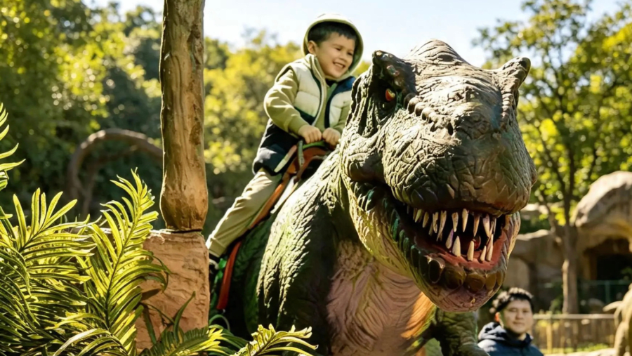 Un plan para jugar en familia